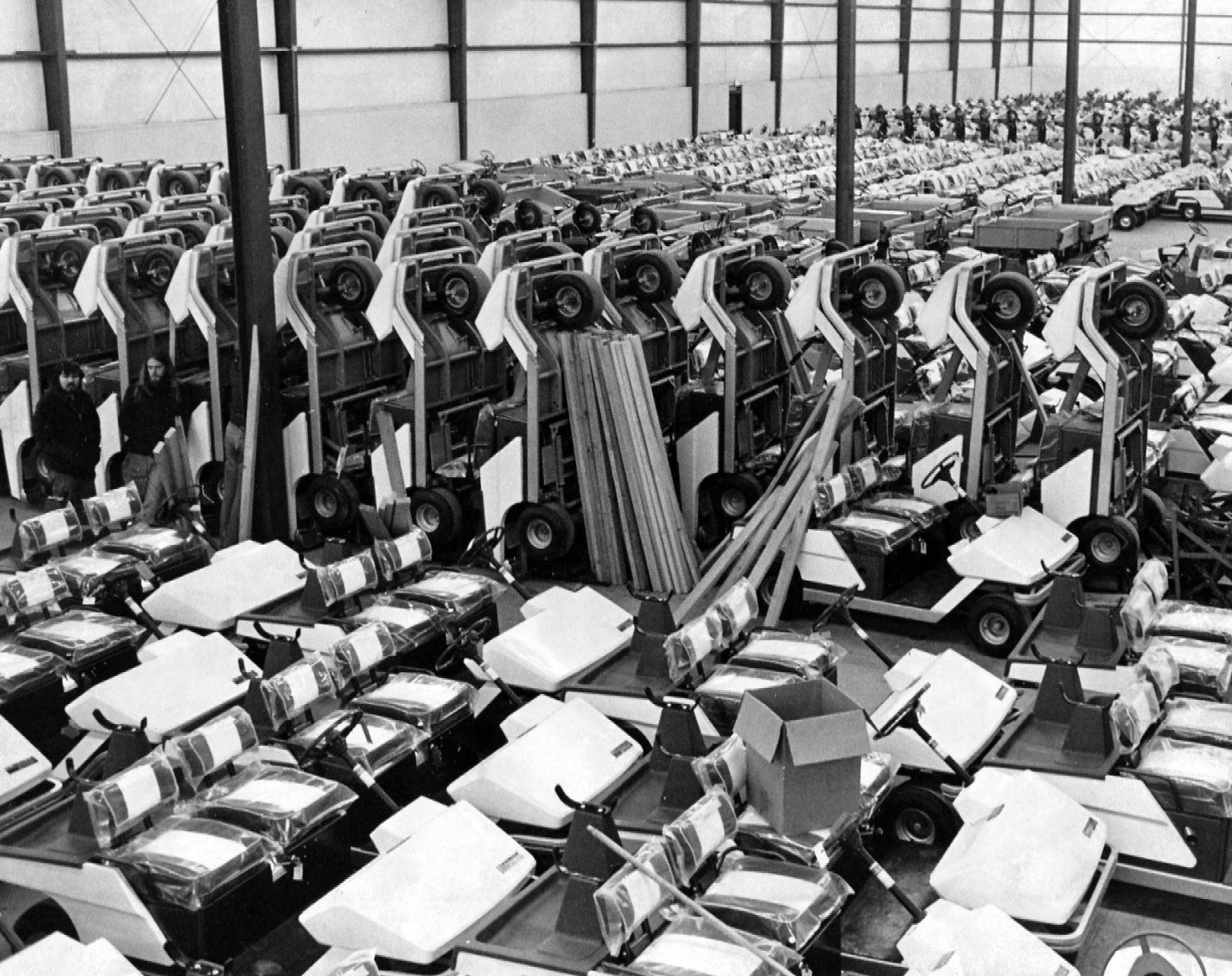 Cushman 1974